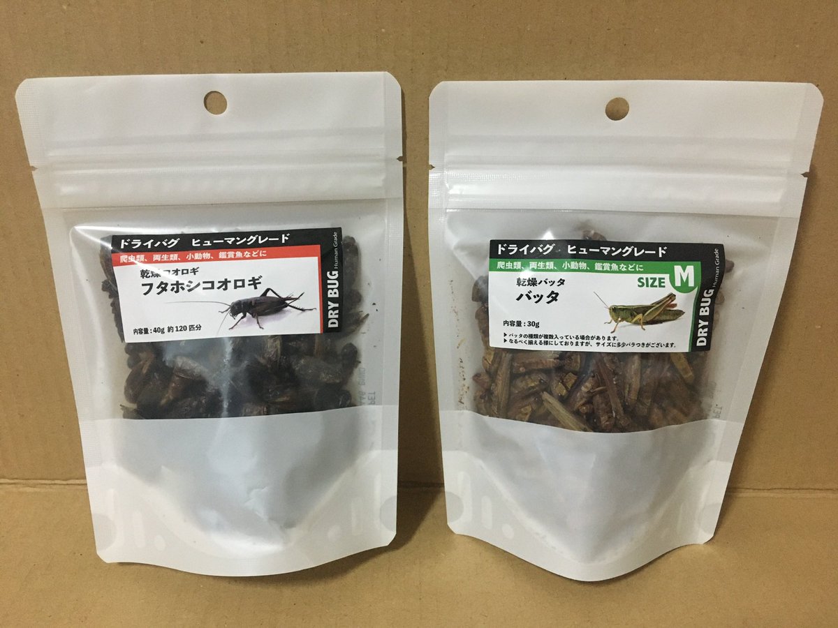 ForPet410's tweet photo. いつもご発注頂きありがとうございます😭
本日も営業中です！
乾燥コオロギ🦗・バッタも販売しています！

#爬虫類好きと繋がりたい https://t.co/zqNDkZTp8d