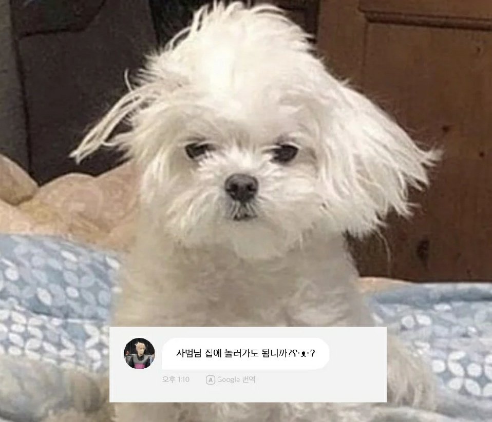 열받아
우