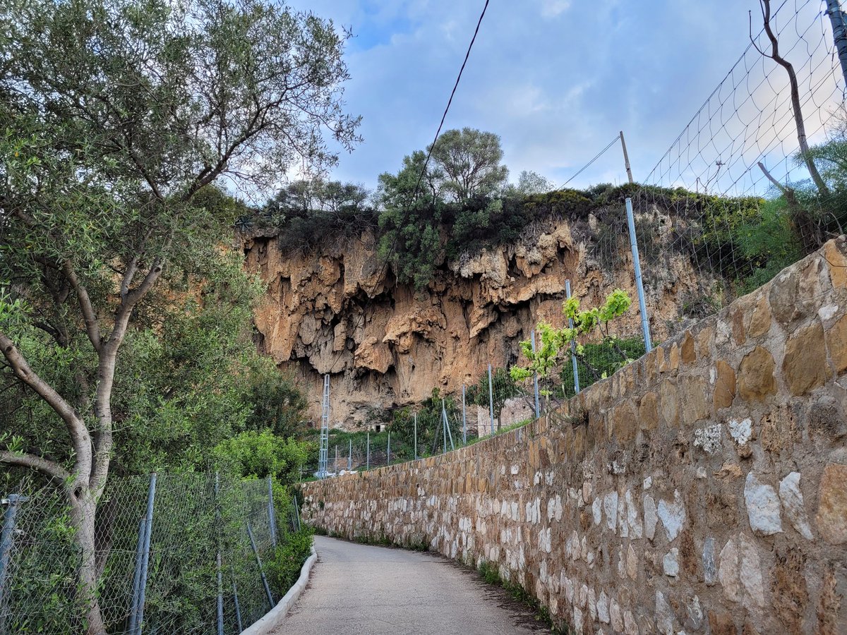 Hadi Hariri tweet media