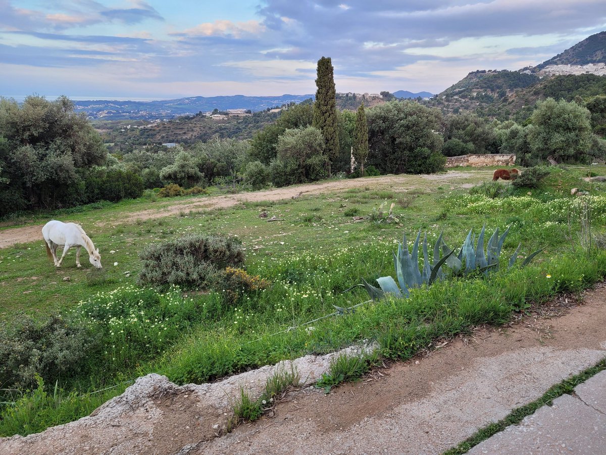 Hadi Hariri tweet media