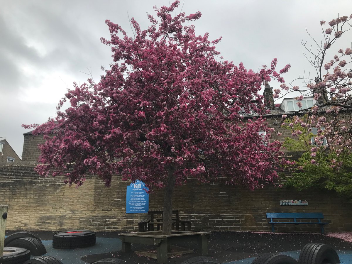 It’s that time of the year again. Blossom confetti fun at playtime!