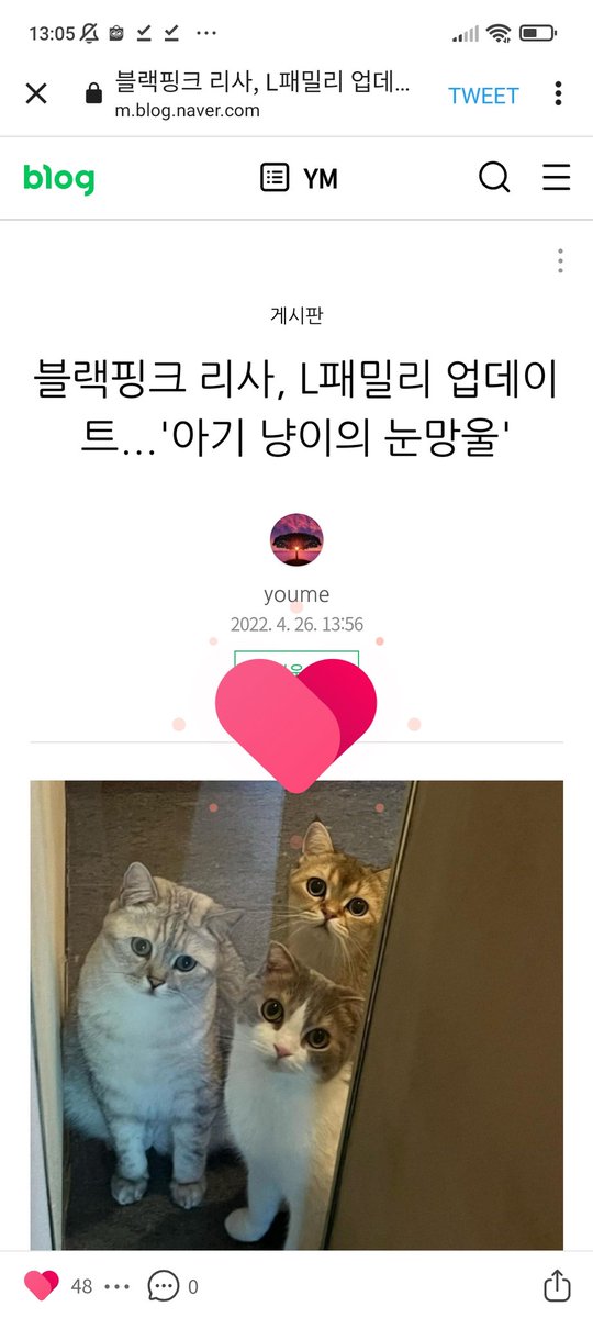 TheManoban_Walk's tweet photo. My dear co-lilies, I know we're busy contacting Spotify & other related parties rn, but let's not neglect othwr things that we need to do for Lisa, OK? 🥺 Go check these articles and see if you already react to all of them. FOR LISA!
LISA MONEY IS HACKED
#SpotifyPleaseFixThis https://t.co/d6VfkBPh2Z
