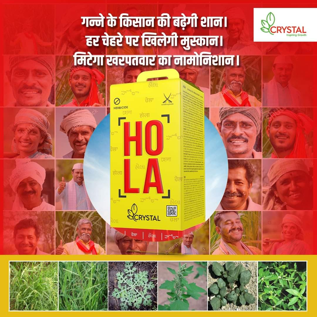 मिलेगा श्रेष्ठ गन्ना, मिटेगा खरपतवार।
होला के साथ हर सपना होगा साकार।

जानने के लिए मिस कॉल दें:9555803550 या चेक करें: safalfasal.com/product/hola/

#Crystalcrop #Hola #Sugarcane #Weedmanagement #CropProtection #CropGrowth #Farmer #SugarcaneCropProtection #Uttarpradesh