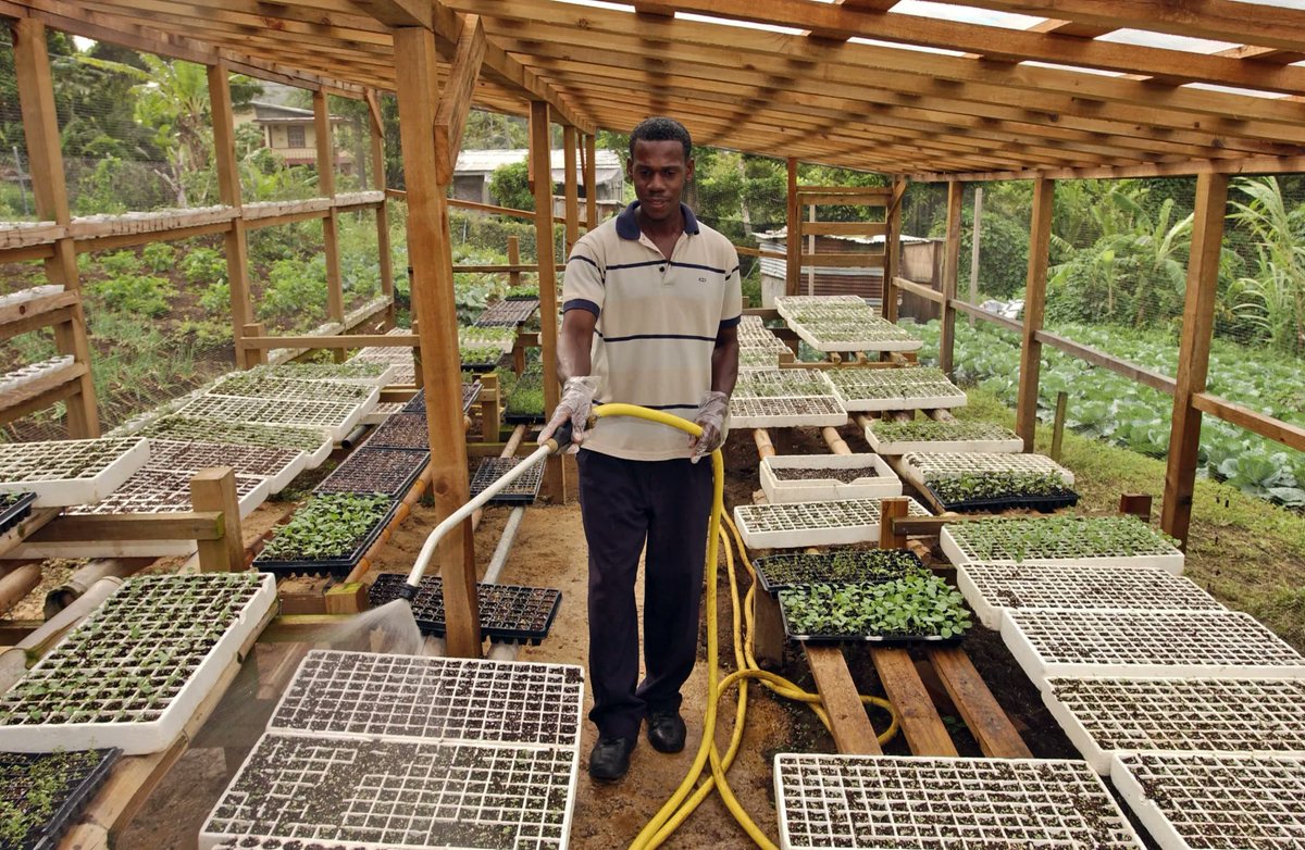 FAOInvest's tweet photo. Senegal has a thriving food export sector, yet natural resources are fast depleting. How to combine both to feed its people with healthy and nutritious food? ๐ฒ
Learn more in the #FoodSystemsAssessment findings ๐ https://t.co/K9GOlXrnDy https://t.co/1HthOvMcHU