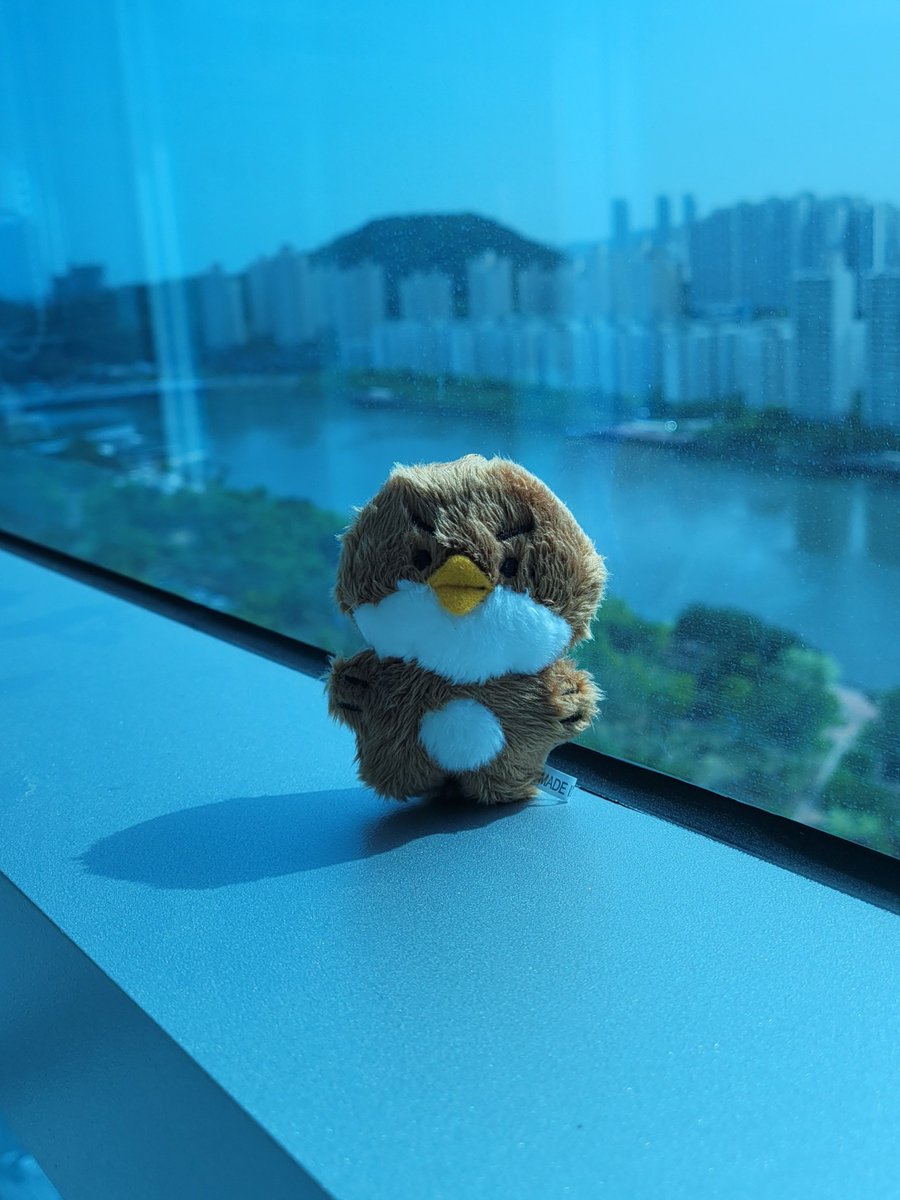 짹돌이 안녕~ 잘부탁해~
귀여운 참새 친구들^^