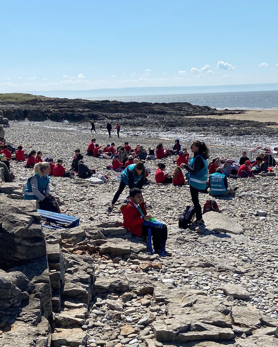 Springwood_Prm's tweet photo. We couldnβt have asked for a more perfect day for our beach clean at Ogmore!
We even got to play and explore the rock pools.
#springyear6 #springoutdoors #springeco https://t.co/oEM2KEy79L