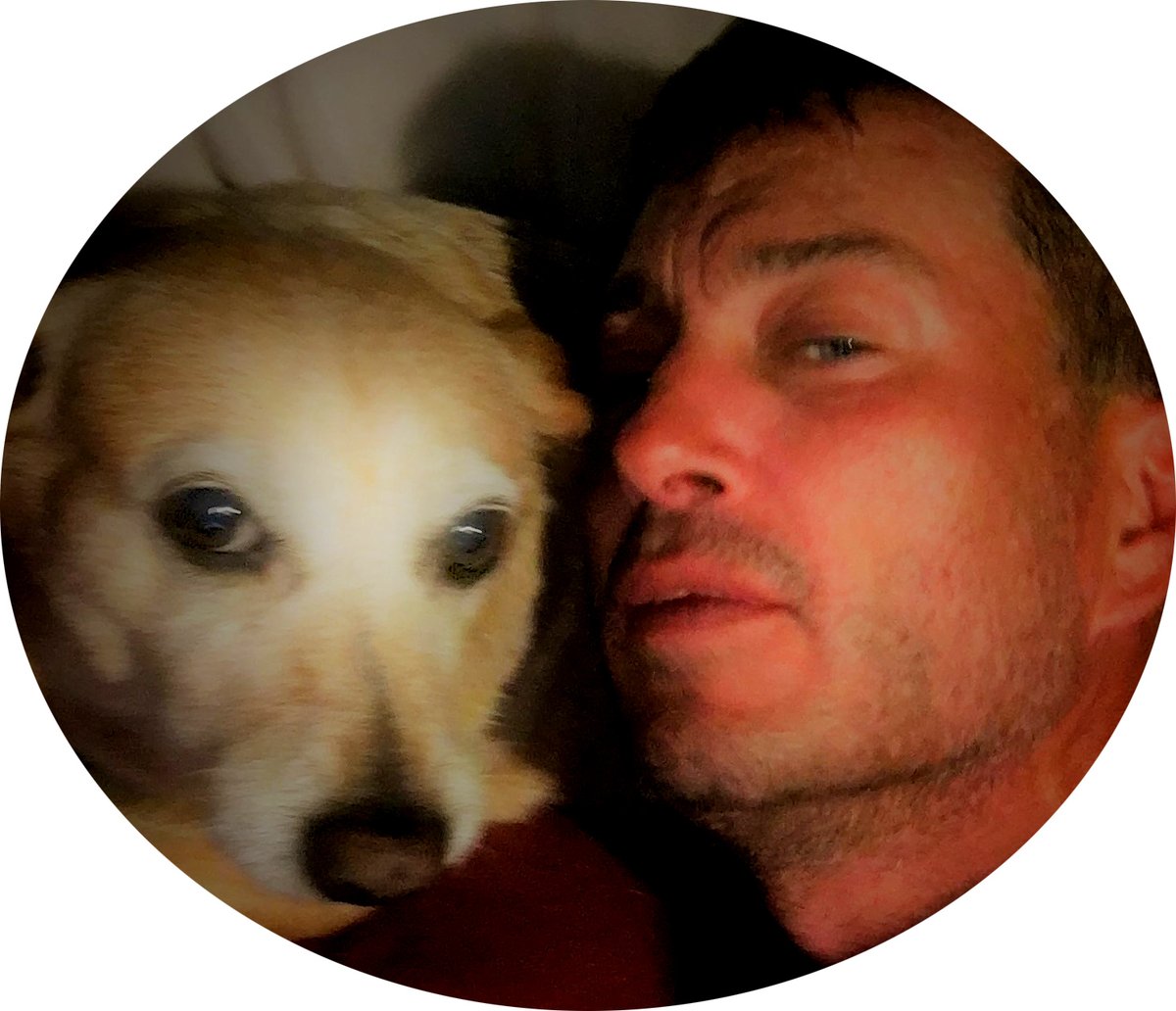 BString559's tweet image. Sprinkles my 18year old chiweenie