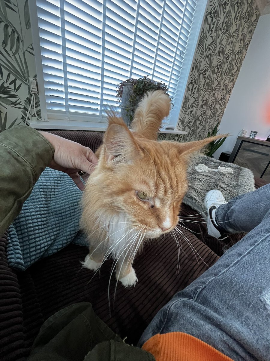 Lourens Albeda tweet media