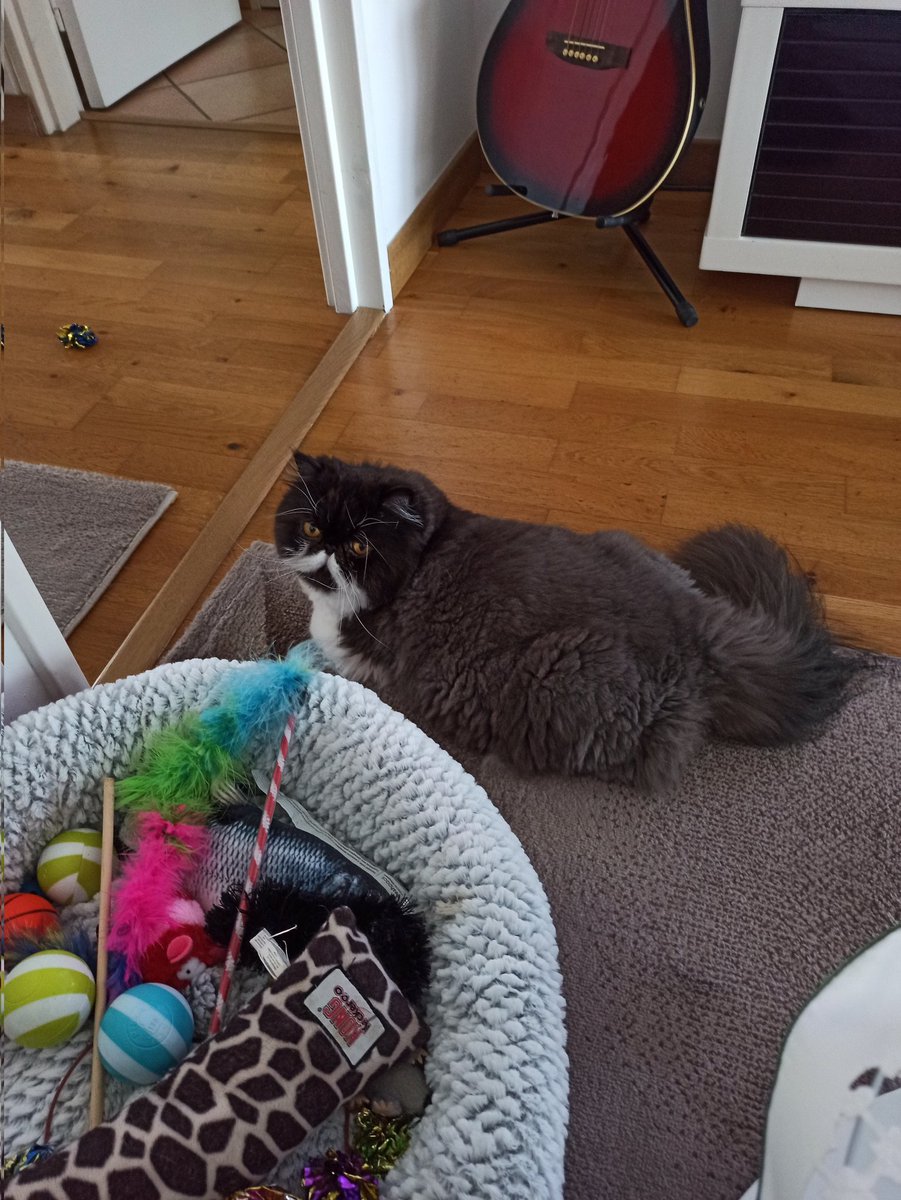 PersanChat's tweet image. Bon mercredi à vous tous ! 😻😻😻😻😻💝💝💕💕❤️❤️😍😍