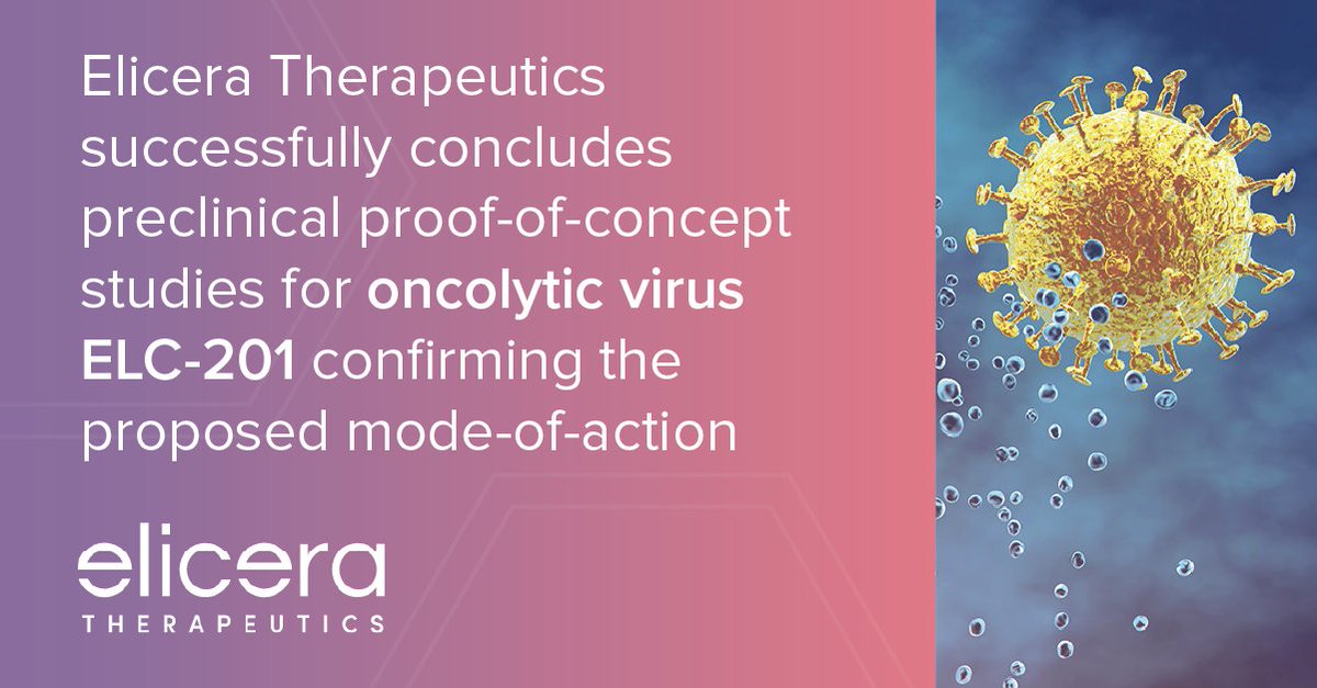 EliceraTx's tweet photo. We're delighted to announce that we have successfully concluded preclinical proof-of-concept studies for our oncolytic virus ELC-201, confirming the proposed mode-of-action. https://t.co/LYiVskRKPy #Immunotherapy https://t.co/yUlpXPcLbB
