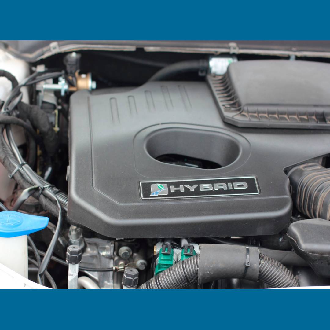 Astrave_oficial's tweet photo. ¡Buenos días!
🆕 Nueva entrega de #RedAstrave, en este caso, de la mano de @gasmocion, que nos muestra la #transformación a #Autogas de este Ford Mondeo Hybrid, que ahora cuenta con la #etiquetaECO.
🔥¡Gran trabajo!🔥
#GLP #Autogas #cochesgas #cochesglp #ford https://t.co/YcOzUH4VFN