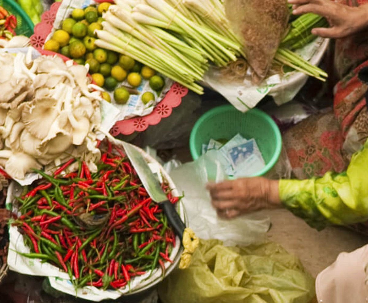 farmingfirst's tweet photo. How are food systems becoming more sustainable around the world?
Discover our campaign with @CGIAR which explores some of the innovations driving the process π
https://t.co/ko8Ocv4Cwj #SustFoodSystems https://t.co/dzyfcvLVjS