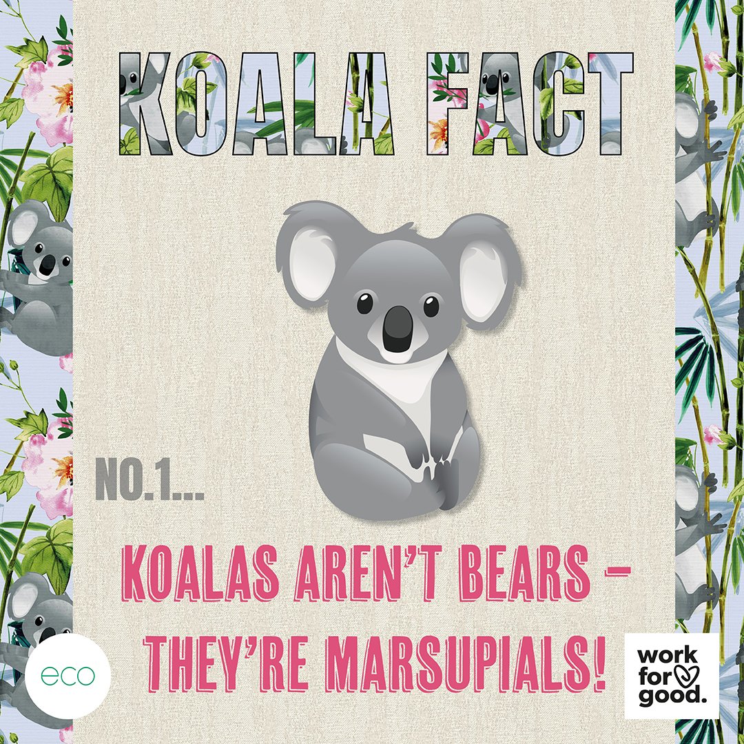 StyleStudioUK's tweet image. Do you know any interesting Koala facts? 

Kirsty is helping us raise funds for WWF-UK’s Work for Good Campaign.

stylestudio.co.uk/eco-recycled-f…

#stylestudiouk #wwf #workforgood #workforchange #eco #ecofriendly #rollerblinds #marsupials #tropical #wfg #recycled #koala #blinds #facts