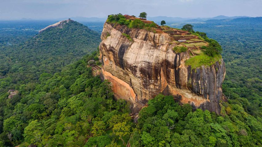CEYLONE04's tweet photo. Sigiriya rock
We’re here at Sigiriya, or Lion Rock, in Sri Lanka, for the Southeast Asian nation’s Independence Day, celebrated annually on February 4. Sigiriya towers 182 metres off the ground
#travel  #srilanaka #Photos #TWTTER #fallower https://t.co/0q42633eyW