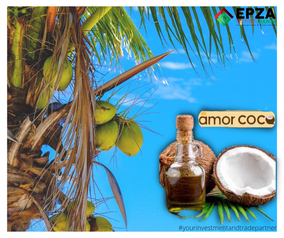epzakenya's tweet photo. #Coconutprocessing in the EPZ by Amor Coco Kenya EPZ located in @ThisisKilifi producing coconut oil, coconut flour, desiccated coconut and coconut water #EPZprogram abundant #investmentopportunities @kilimoKE @Trade_Kenya @IndustryKE @KilifiCountyKE https://t.co/QmEDSRg25j