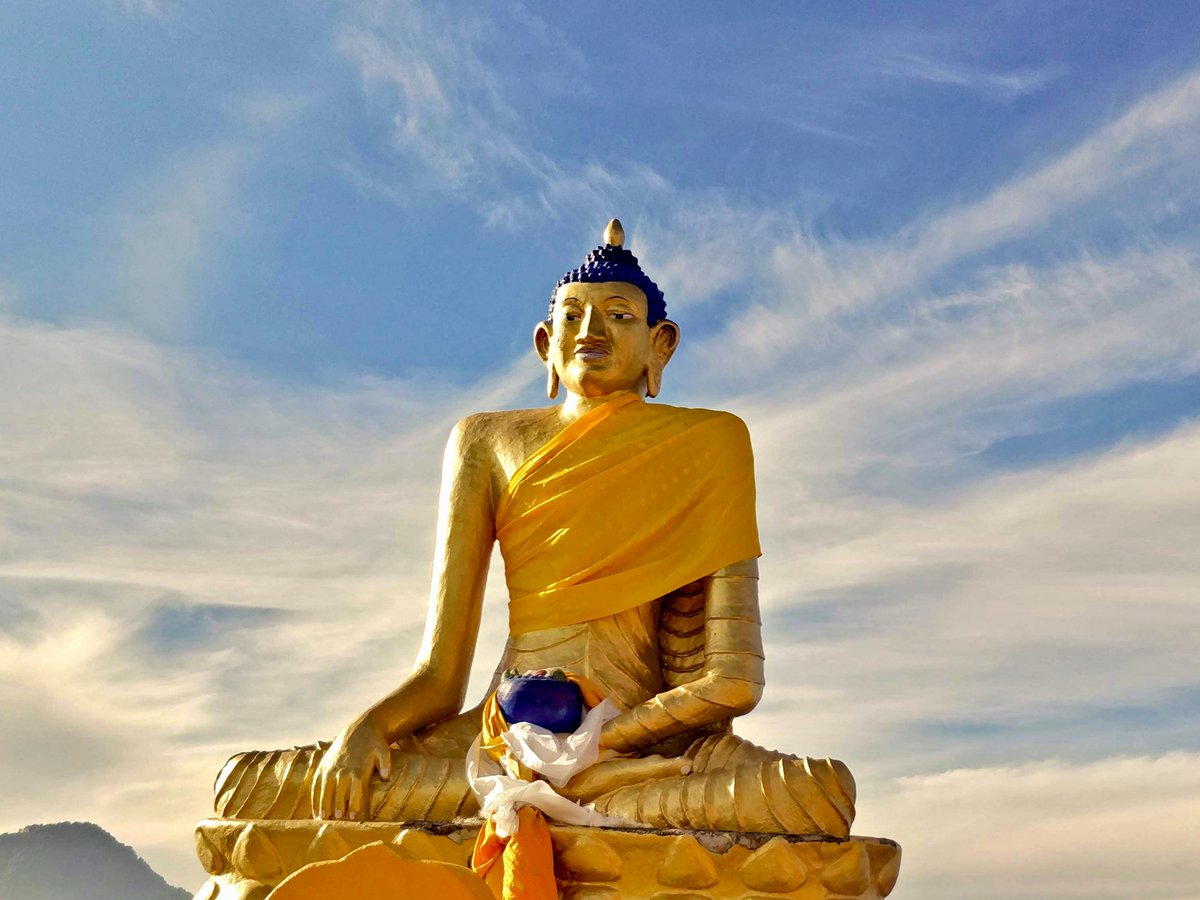 AshDodani's tweet photo. New Creation, New Vibration. 🪄🌻

"My surroundings, environment and situations are in my control. I am a grateful being with a soul filled with pure light.

I contain the most genuine emotions.
I live a life filled with empathy and beauty."

Full in link below. :) Spread love. https://t.co/YFgJ1W0nsh