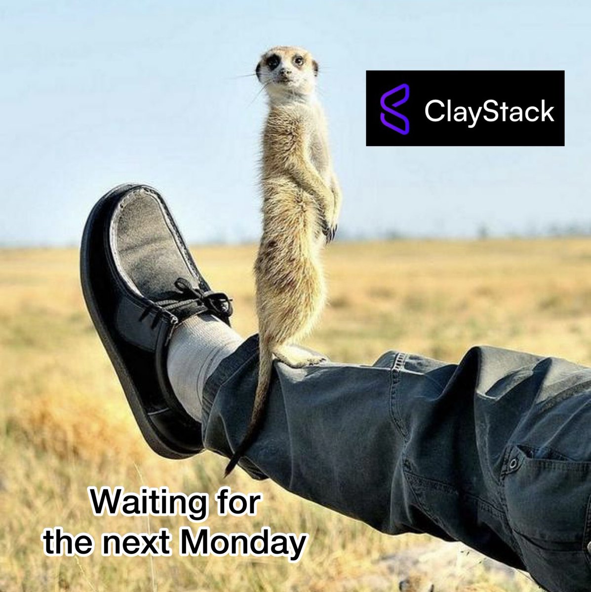 UstimenkoDa's tweet photo. Wow))))
#ClayStack #testnetVictoria
@ClayStack_HQ https://t.co/LYYxiWbNUl
