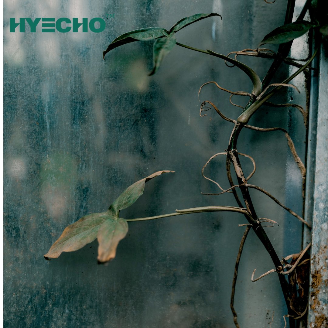 HyechoTools's tweet photo. 🔥HYECHO TOOLS
🔥Follow us! A new garden brand worthy of your trust! 👉https://t.co/L16Ljg4bEX👈 #Hyecho #powertools #woodworker #woodworking #hyechotools #GardeningTools https://t.co/UMY9QQqd2A