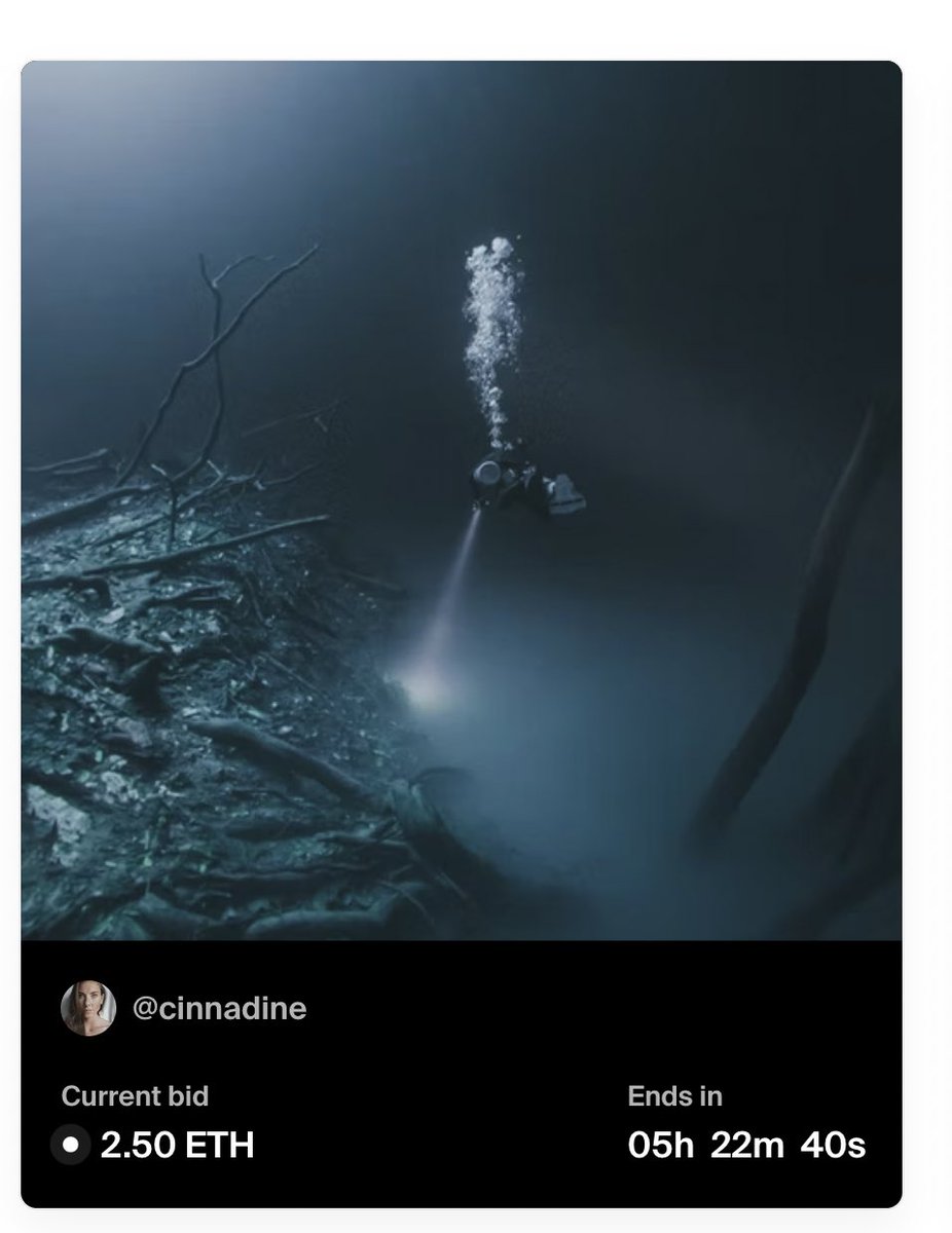 Nadine Bauer tweet media