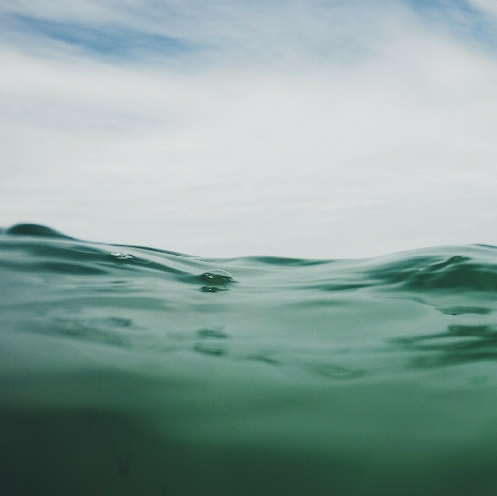 No matter if you love the ocean or not, we all must agree that it is the lungs of out planet! And it must be protected at all cost!⁠
⁠
⁠
#SurfersAgainstSewage #SaveOurSea #SaveOurOceans #Environment #Litterpick #singleuse #rubbish #singleusesucks #oc… instagr.am/p/Cc2GfHPMjny/