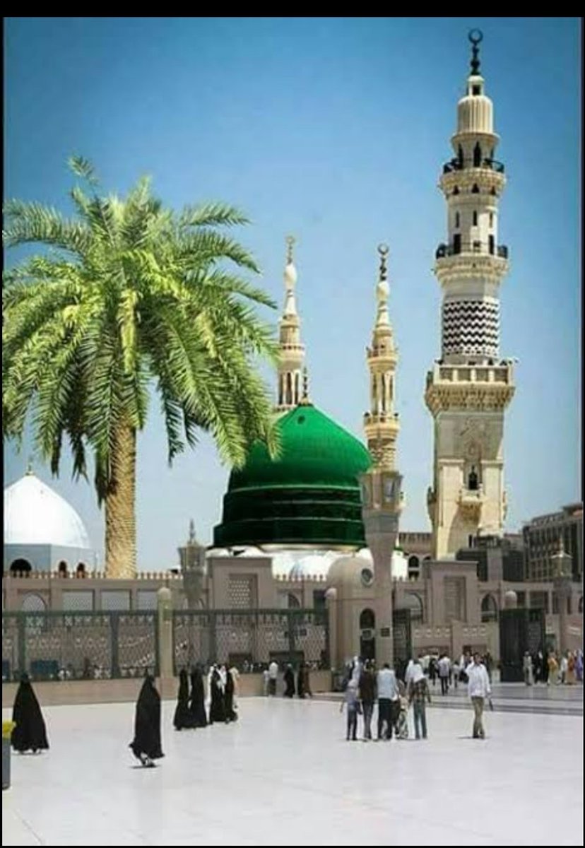 السلام علیکم تمام بھائیوں اور بہنوں کو 25 رمضان المبارک کی صبح کا سلام اس دعا کے ساتھ کہ دنیا میں اور آخرت میں اللہ آپکا حامی و ناصر ہو اور آپکی تمام جائز حاجات پوری فرمائے اور فراخ رزق حلال عطا فرمائے آمین- اپنے پیارے ملک پاکستان کے لیے بھی دعا فرمائیں