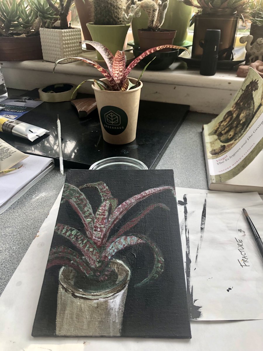 And yesterday I mostly painted my new #bromeliad, thanks #greenhaus