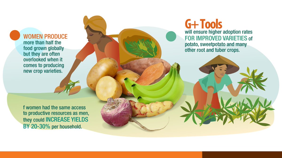 Cipotato's tweet photo. Gender equality in a healthy world 🌍!

G+ Tools will ensure that women and men farmers receive the crop varieties they want for higher yields 🌱, better nutrition and tastier cooking.

👉🏽 https://t.co/wv2JJLCFIp

🔸 @CGIAR_EiB
🔸 @narouganda
🔸 @nrcri_umudike
🔸 @noradno https://t.co/R0WUmgDqnG