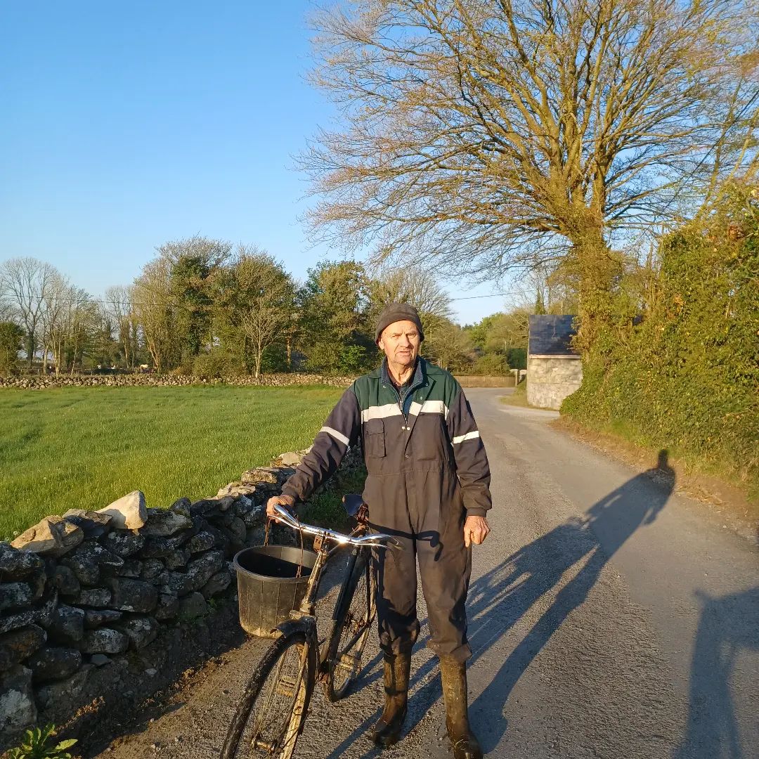 CycleGort's tweet photo. It's always great to meet other cyclists on my #FakeCommute ! What a day !
Want to find out about cycle routes/ loops/ Trails around Gort and beyond?
I called this the #LimeParkLoop
Search for Gort Cycle Trails…
📸 https://t.co/yMldLxwKU9 via https://t.co/aq7qcrG2ME https://t.co/YUJPPUTijw