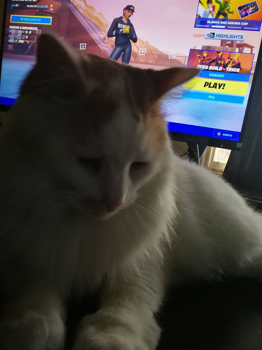 ellagator tweet media