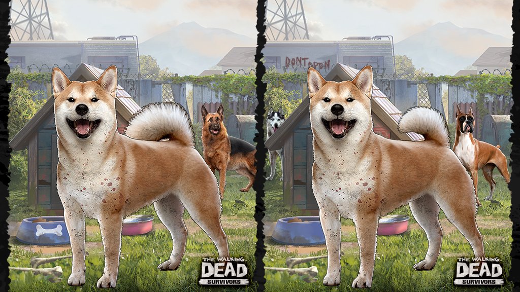 Follow えみ S Gomashiochico Latest Tweets Twitter