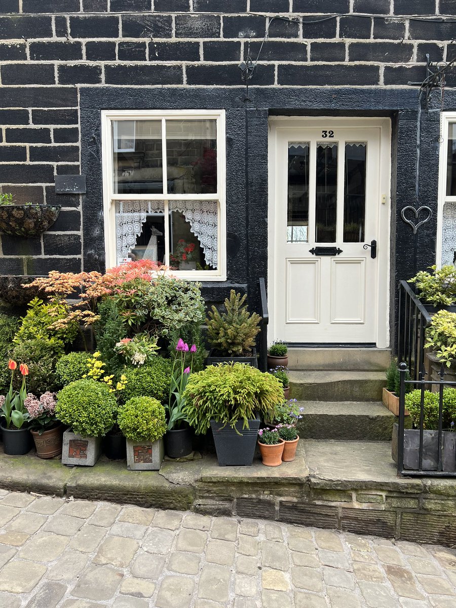 You don’t need a garden to grow stuff #haworth