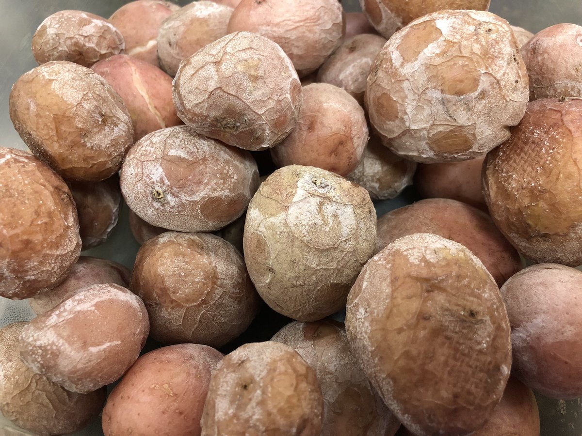Nummymuffin's tweet photo. Finally made #saltpotatoes in my #instantpot, and used more salt than I’ve ever measured out in my entire life. They came out perfectly with salted crust. Very simple! 6 cups of water, 1 cup of salt and 3 lbs of new potatoes in the pot for 2 min, with 15 min natural release. 👩🏻🍳🥔 https://t.co/BGzLJJG8qE