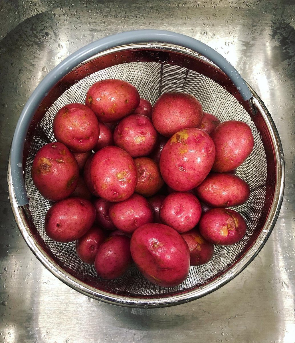 Nummymuffin's tweet photo. Finally made #saltpotatoes in my #instantpot, and used more salt than I’ve ever measured out in my entire life. They came out perfectly with salted crust. Very simple! 6 cups of water, 1 cup of salt and 3 lbs of new potatoes in the pot for 2 min, with 15 min natural release. 👩🏻🍳🥔 https://t.co/BGzLJJG8qE