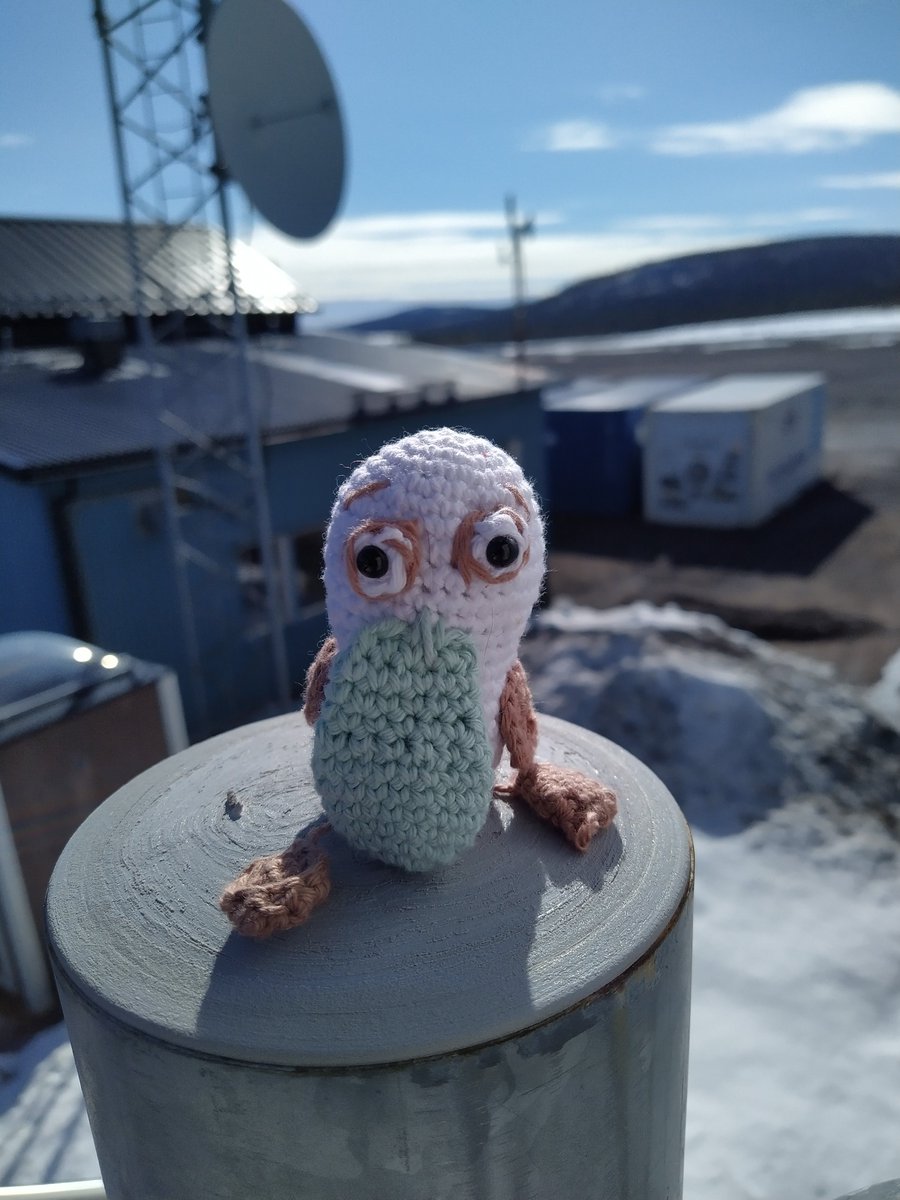 Sunrise_III's tweet photo. Please meet Gucki! This little guy has been accompanying one of the #Sunrise_III team members from @MPSGoettingen to #ErangeSpaceCenter – and is getting a front row view of all the action. @SSCspace https://t.co/MzzcyiSgN6