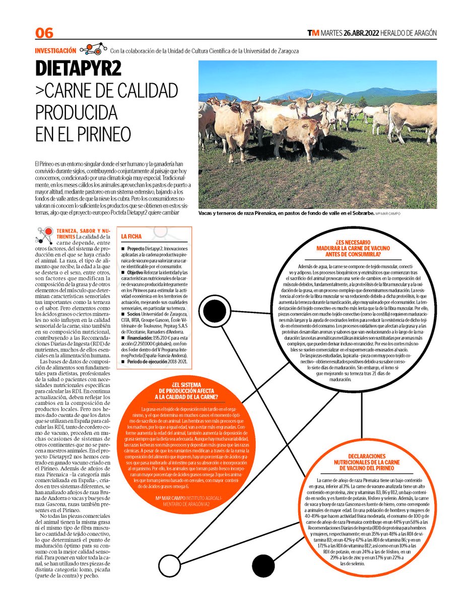 UccUnizar's tweet photo. La #investigadora M. Mar Campo explica cómo el proyecto #Dietapyr2 busca reforzar las características nutricionales de la #carne de #vacuno 🐄producida en los #Pirineos 🏔
@IA2_UZ_CITA (centro mixto @unizar - @CITAAragon)
@RosaBoles1
Hilo🧵@milenioheraldo 👇 https://t.co/auodzZ4jwR