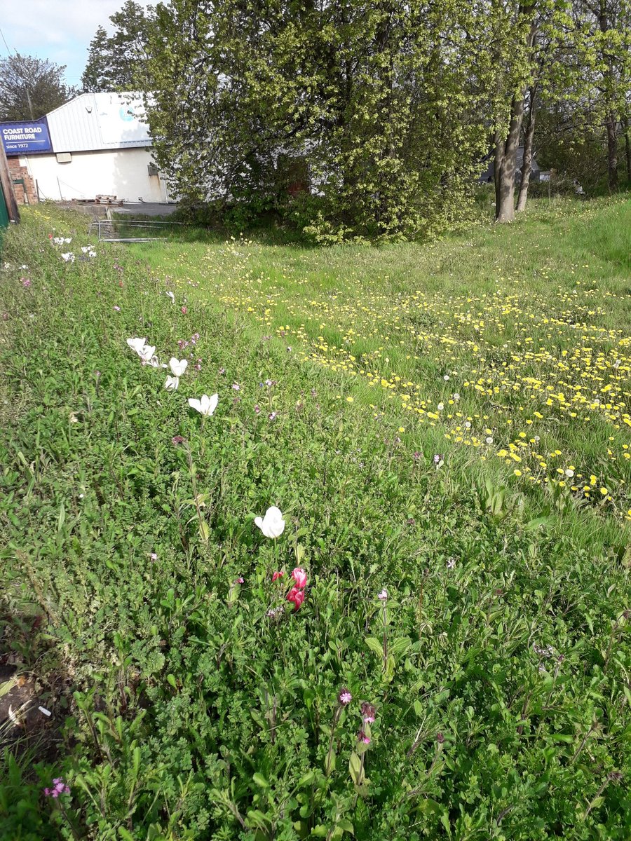 Our Back Yard (@ourbackyard_cq) on Twitter photo 