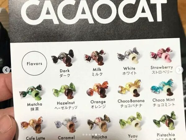 「猫の爪あと」が刻まれたチョコレートにときめく! 今話題の「CACAOCAT」はギフトにもおすすめ|ねこのきもちWEB MAGAZINE https://t.co/Gm32QfeEoa