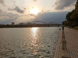 行动力强。天马行空