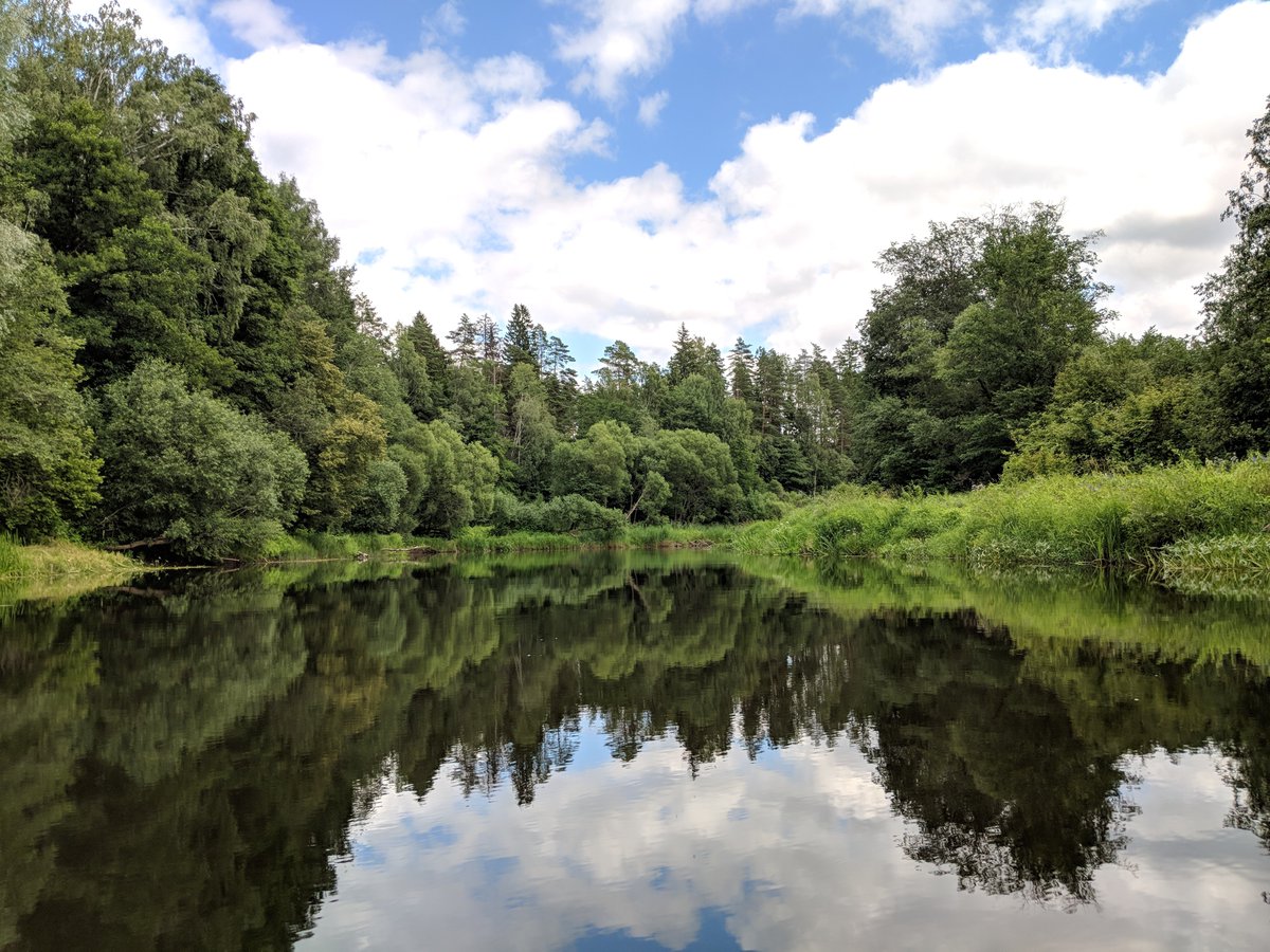 Grain Team tweet media