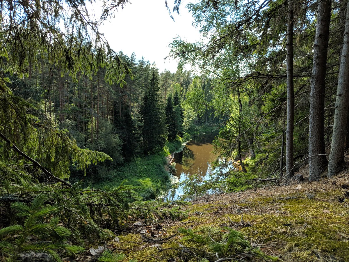 Grain Team tweet media