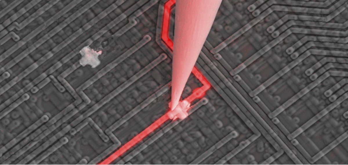 Do you know why our #Nanoprobing solution with EFA module is the best-in-class #ElectricalFailureAnalysis tool?

The answer is simple: no defect will remain hidden.

A longer answer can be found here: imina.ch/en/electrical-…