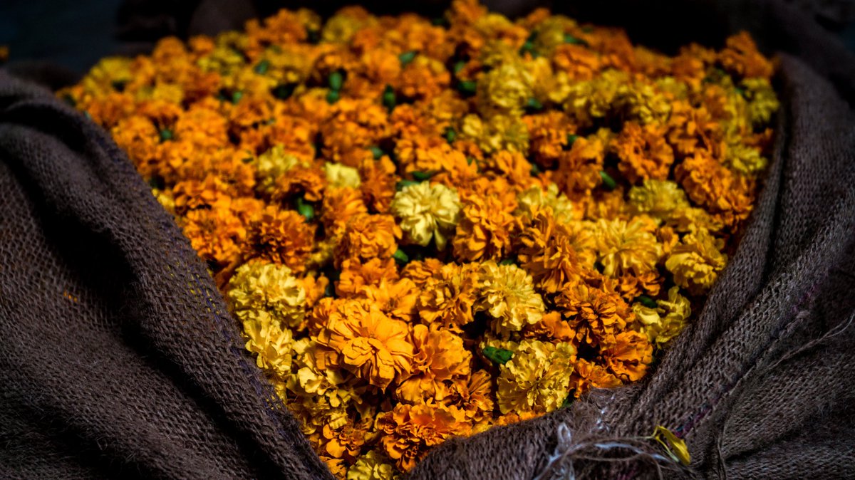 FoodWalkIndia's tweet photo. A walk in flower market

#travel #India https://t.co/oWSJQHVZZG