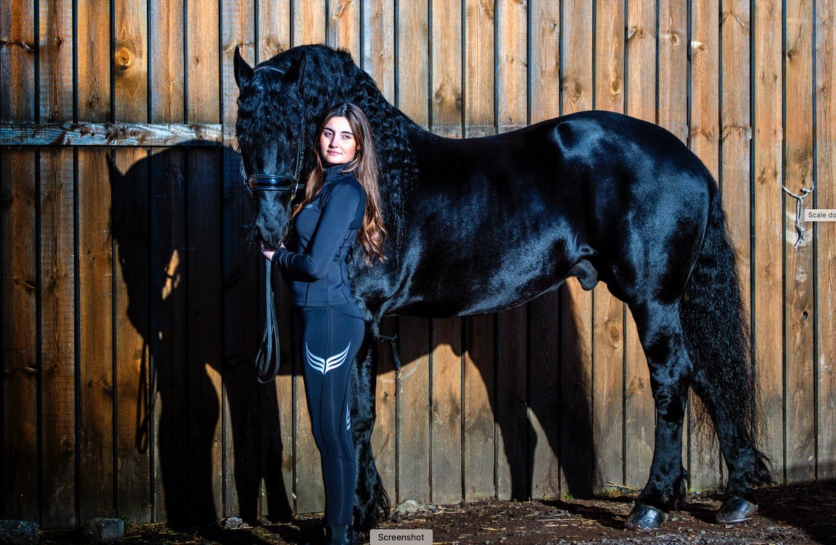 Instead of buying Twitter, <a href="/elonmusk/">Elon Musk</a> could have bought 539 370 193 pairs of our C180 Compression Leggings!! That’s a lot of leggings… he’d need a lot of horses and lot of visits to the gym to wear those!