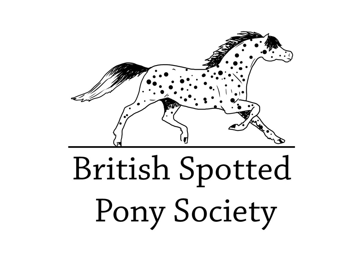 Showing Scene tweet media