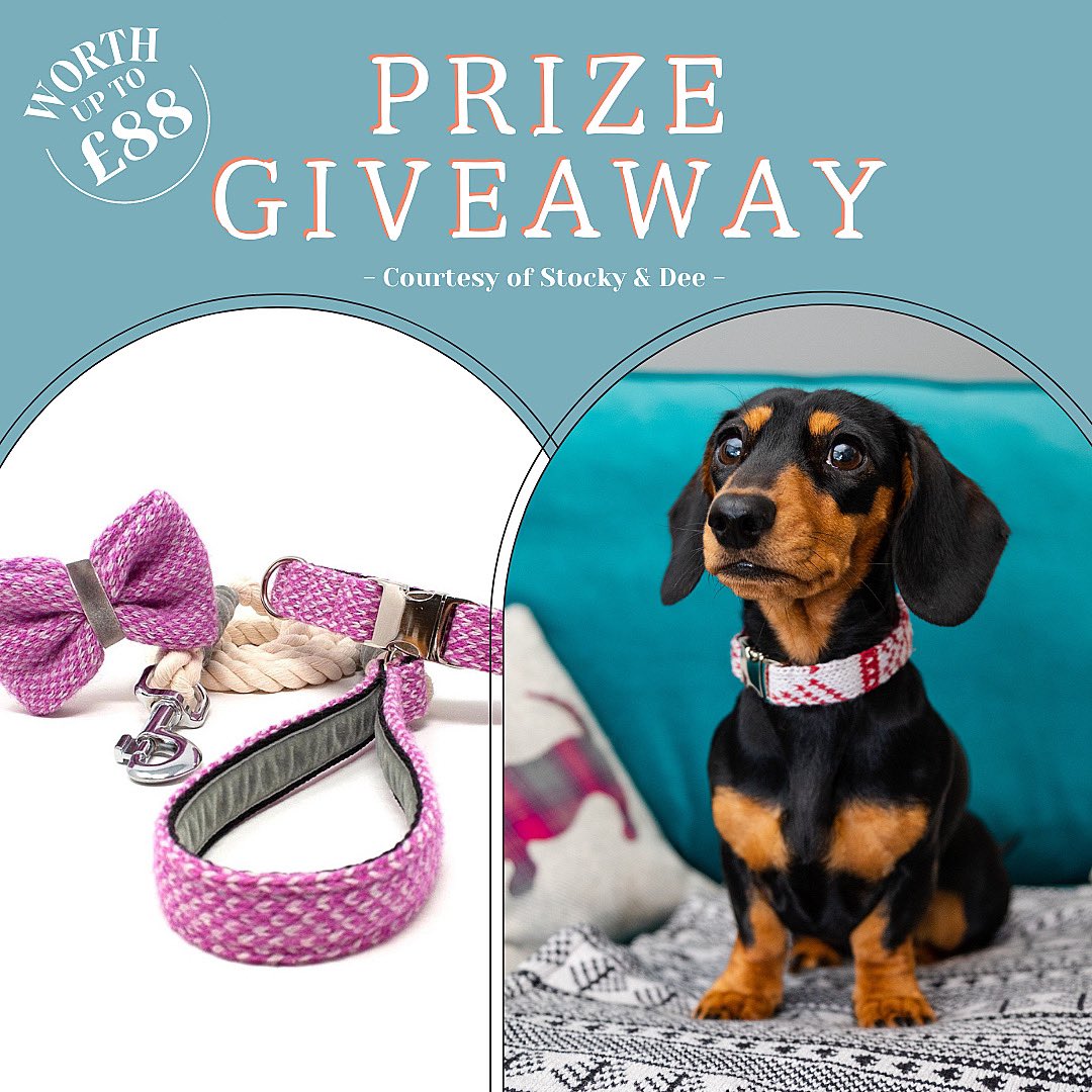 Bringing style to dogs 🐶 we’ve teamed up with the amazing Stocky &amp; Dee to offer you the chance to WIN a bundle of gorgeous handmade dog accessories worth up to £88! Choose which colourful collar, lead and bow tie you want for your canine 😍 Head over to our Instagram to enter!