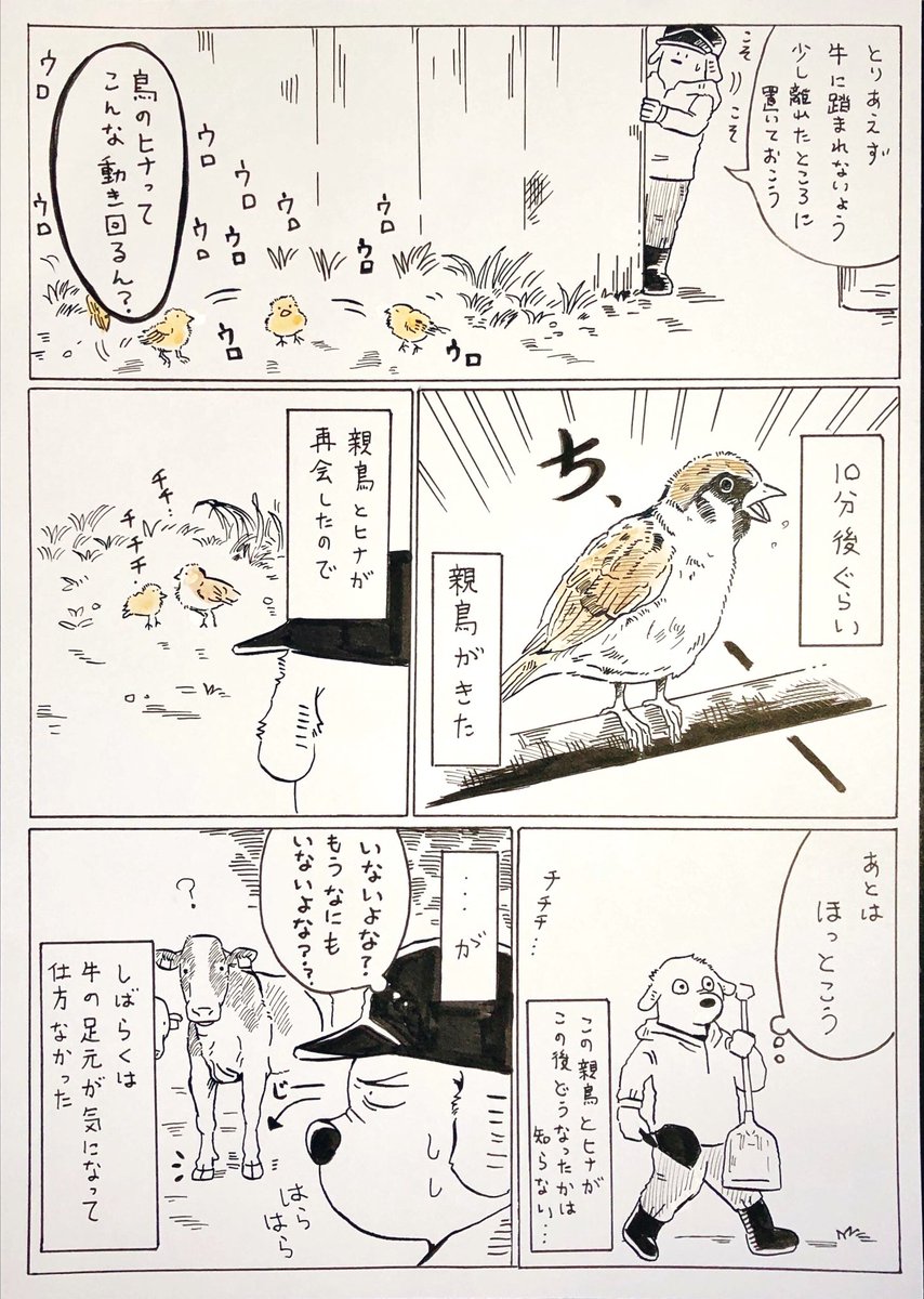 巣立ちヒナ🐥

雑描き。

牛舎の周辺に巣があるっぽい…

※スズメもカラスほどではないけど牛の餌場を汚すので牛舎から追い出したい鳥ではあります。 