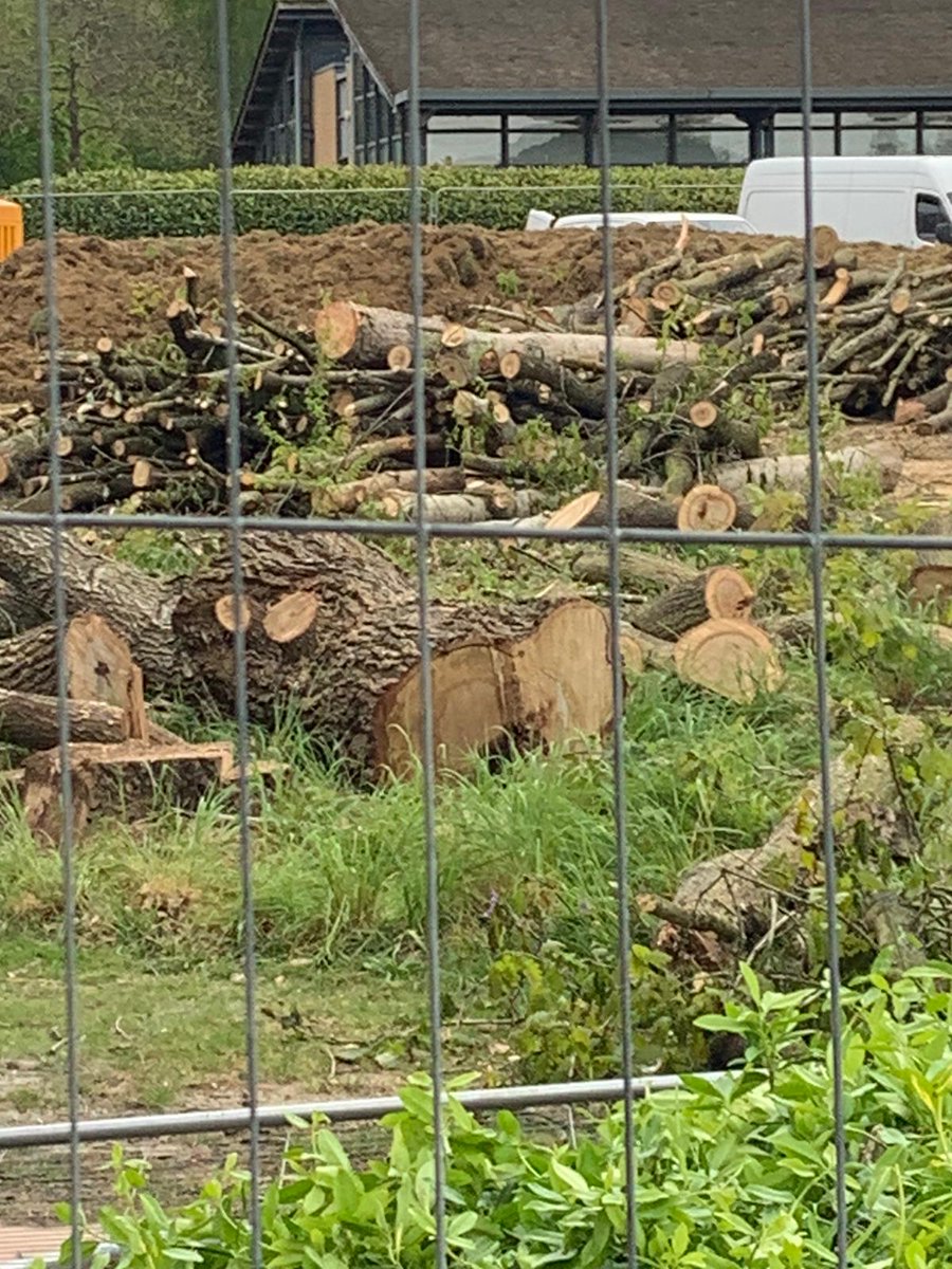 I was going to probably shop in the new <a href="/AldiUK/">Aldi Stores UK</a> close to my home but your opening statement to our town is chopping down our Oak Trees! I sincerely hope your new planting scheme is like a nature reserve!! 🤬