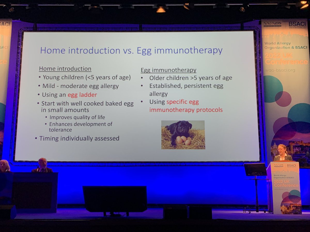 NicolaBrathwait's tweet photo. @leech_susan presenting our #BSACI egg allergy guideline #WAOBSACI2022 https://t.co/SwcqbYoZy2