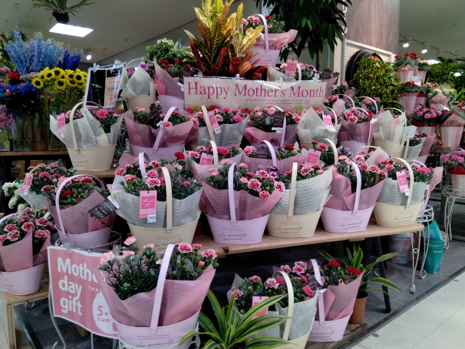 ジョイフル本田 ガーデンセンター ジョイホン 小山駅前店 もうすぐ母の日ですねー 日頃の感謝をお花と一緒に伝えませんか 普段は照れくさくてお花は渡せなくても 1年に1回この日は特別です ジョイホン小山駅前店 でステキなお花を 見つけてみて ジョイフル本田 ガーデンセンター ジョイホン 小山駅前店 もうすぐ母の日ですねー 日頃の感謝をお花と一緒に伝えませんか 普段は照れくさくてお花は渡せなくても 1年に1回この日は特別です ジョイホン小山駅前店 でステキなお花を 見つけてみて