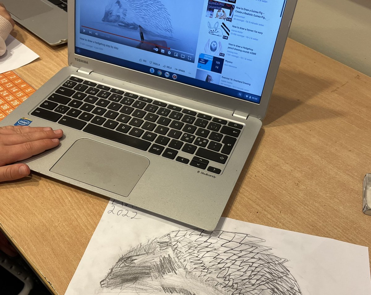 Faktatext om Igelkotten i klass 2 på @sofielund .Digitalt och analogt i en tilltalande kombo. #solskol